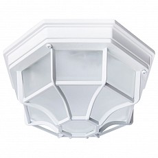 Накладной светильник arte lamp pega...